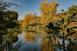 Bassin des nymphéas Giverny