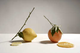 Mister citron et Miss orange