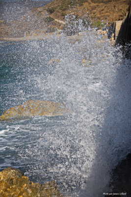Au plus près de la vague
