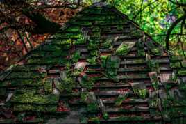 Une forêt enchantée à Paris