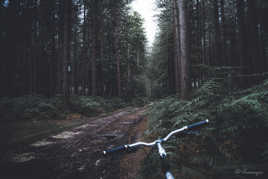 Should I stay or should I go ?