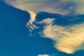 Allez, prend moi la main ont va faire un tour