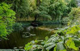 les barques jardin d'eau Monet