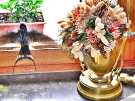 Il vient, ce Printemps ?