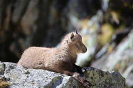 Tu voudrais m'approcher d'avantage.