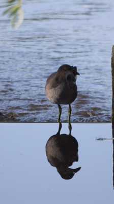 Miroir Oh mon beau miroir ...