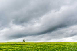 Is there anybody out there?