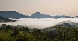 Les surprises de mai.