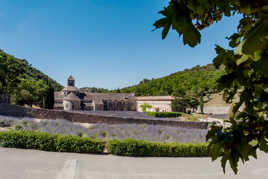 Abbaye de Senanque