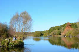 Pêche dans le matin calme