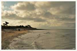 Ile de ré Fin juillet