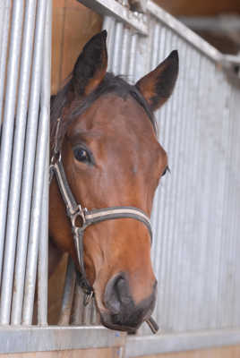 dérriere les barreaux