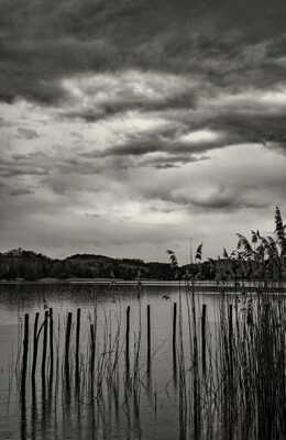 Sous la pluies