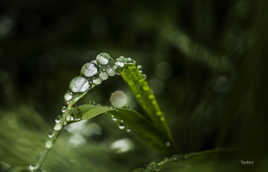 Dernière avant l'hiver