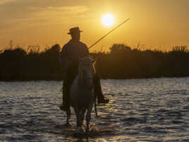 Contre-jour sur le Gardian