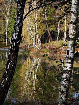 Cadre de verdure