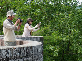 dans les jardins du Palais de la Berbie