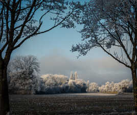 Lumière d hiver