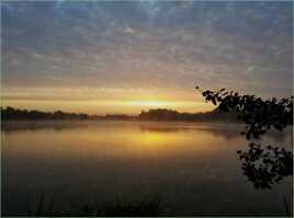 petite brume matinale