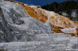 Mammoth Hot Springs