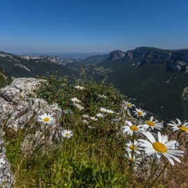 paysage du Vercors