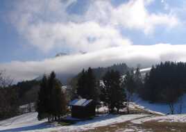 Soucoupe envahissante