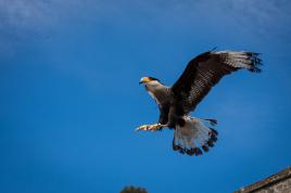 Phase d'attérissage 1...