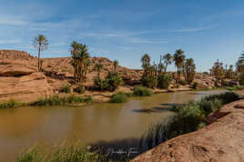 L'oasis
