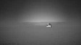 Gruissan terre sauvage !