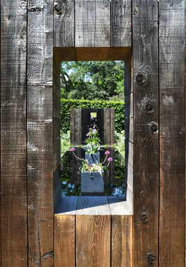 Lynx dans l'alignement