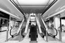 Les terrasses du port