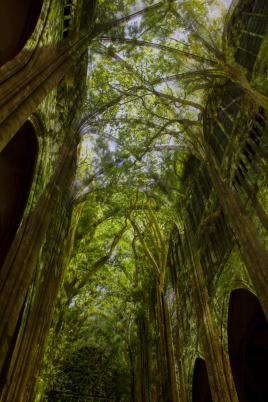 l'architecture inspirée de la nature