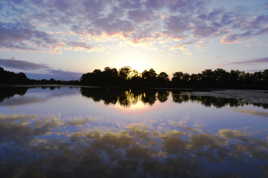 Entre contre jour et reflet