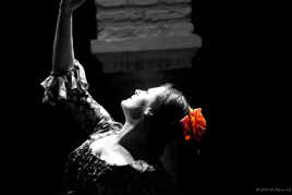 Séville - Noel 2013