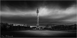 Napoleon dans la tourmente