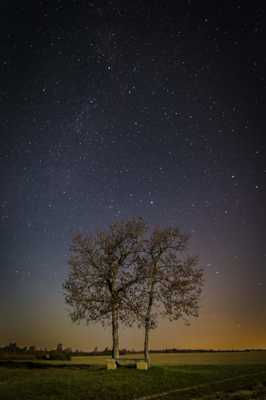 nuit étoilé