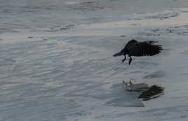 Nature et découverte