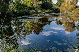 bassin des nymphéas jardin C. Monet