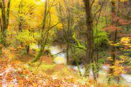 peinture d automne