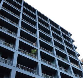 Comme un arbre dans la ville