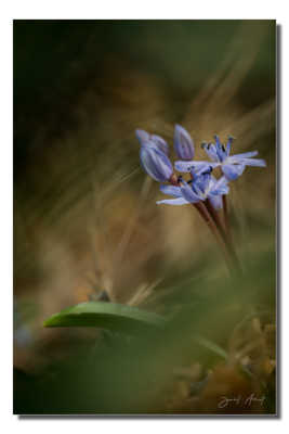 Rien qu'un battement de ......!