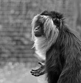 Donnez, donnez-moi...une friandise