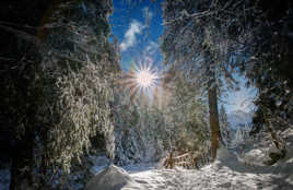 Le petit pont de Bois