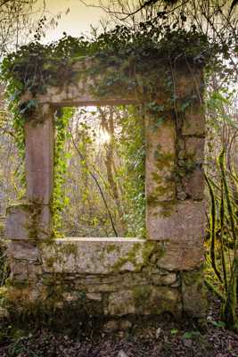 Soleil par la fenêtre