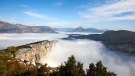 Douceur d'un matin d'automne.