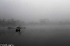 petit matin de brume 