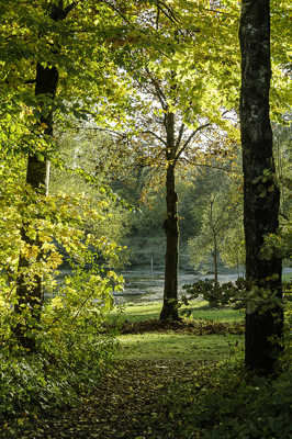 Paysage d'automne