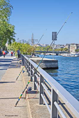 Cinq cannes (version revue)