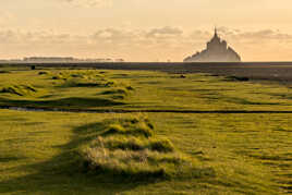 Le Mont St-Michel depuis la lande