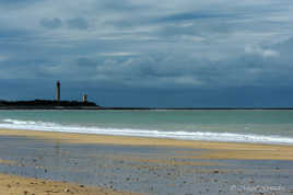 Phare des baleines